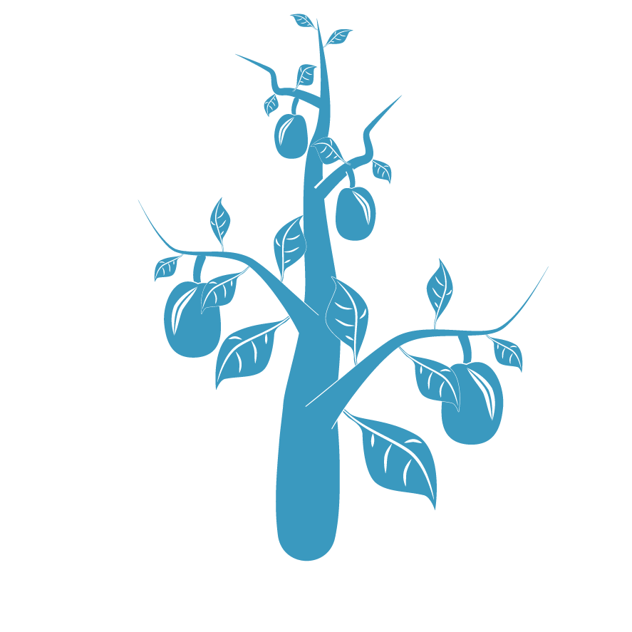 Complex Websites & e-Commerce