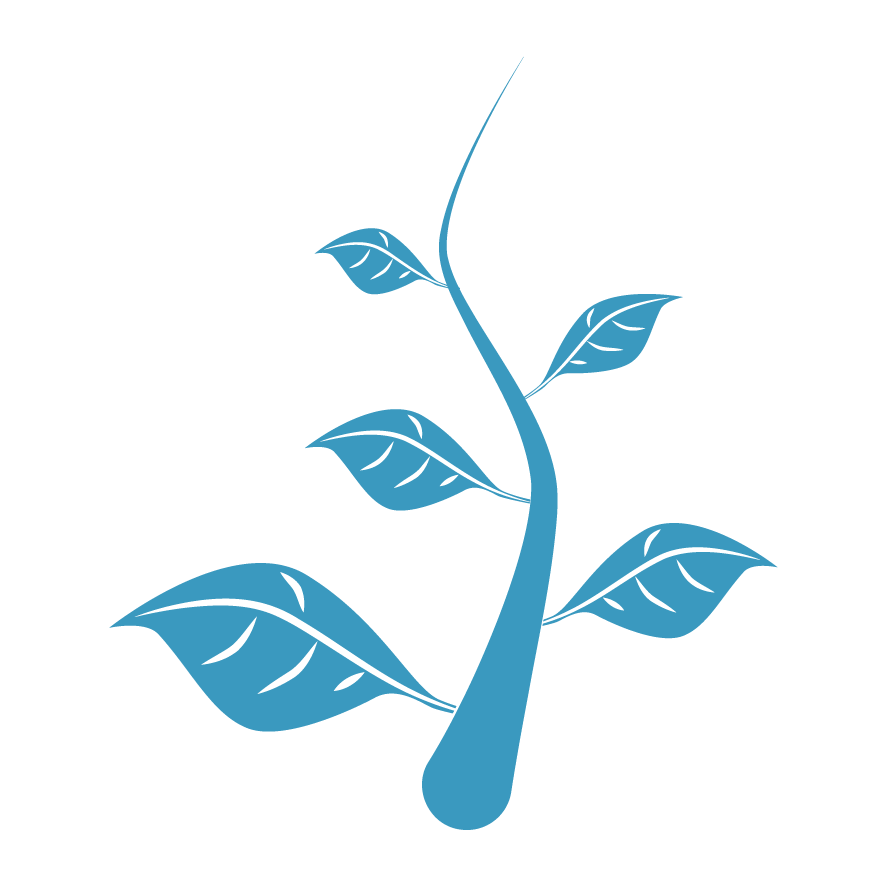 Small Business Websites