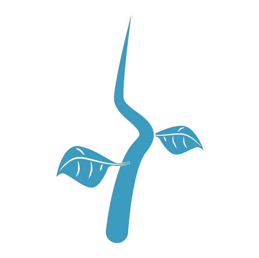 Super Simple Websites